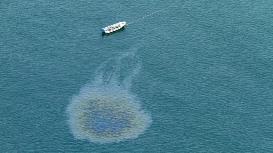 6 of the Latest Advances in Oil Spill Cleanup