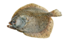 0201lzca-fd50-138x85.png