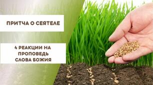 Презентация к библейскому уроку "Притча о сеятеле"