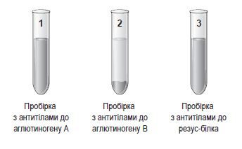 0201m0kz-0ec6-344x213.png