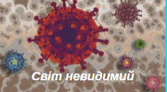 (Копія) Діагностувальна робота з ЯДС № 5 за темою "Світ невидимий" розроблено до підручника Волощенко,Козак, Остапенко