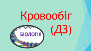 Кровообіг (ДЗ)