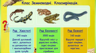 Земноводні