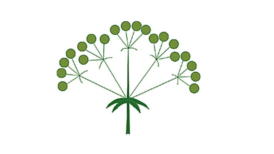 0201m2ca-dd7d-940x529.jpg