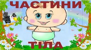 Частини тіла