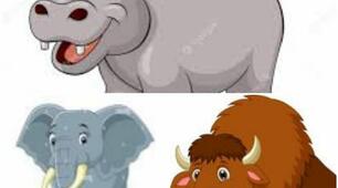 Презентація "Animals words". Презентація
