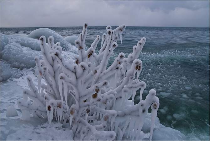 замерзле море