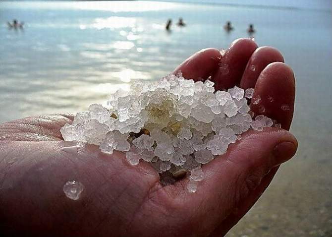 моря і океани солоні