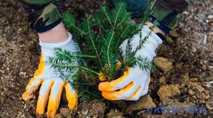 Основні джерела антропічного забруднення ґрунтів