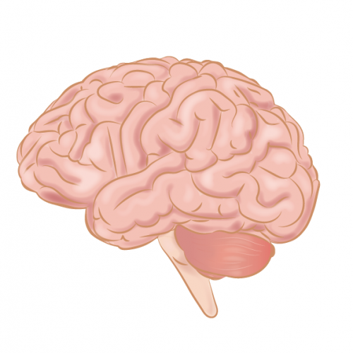 0201m5v7-20d5-500x500.png
