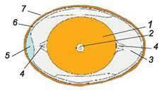 0201m5yd-d754-248x139.jpg
