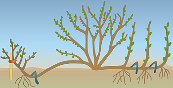 0201m6tp-da1f-659x335.png