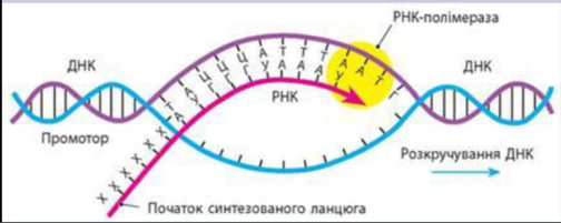 0201m71c-230c-504x201.png