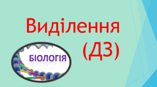Видільна система (ДЗ)