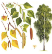 0201m7ri-8db8-107x110.png