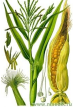 0201m7rj-ded2-73x107.png