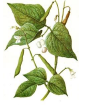 0201m7rp-9897-88x106.png