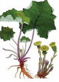 0201m8tg-8e97-87x121.png
