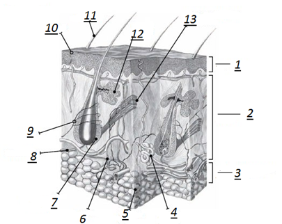 0201ma00-11d6-405x322.png