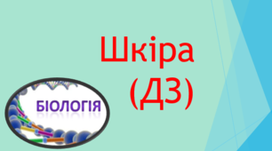 Шкіра (ДЗ)