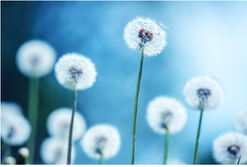 0201mc3j-c660-500x338.png