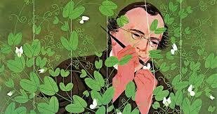 Мендель, горох и… неофинетии. Наследование признаков при семенном размножении неофинетий
