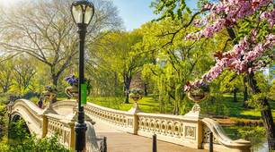 Презентація "Culture page: parks"