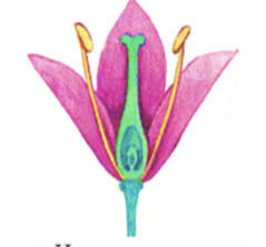 0201mdfy-1373-239x222.png