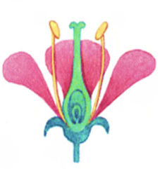 0201mdg1-31c4-237x241.png