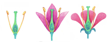 0201mdgd-b8d9-351x137.png