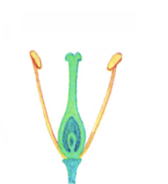 0201mdgz-e297-241x265.png