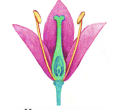 0201mdh1-a65d-234x216.png