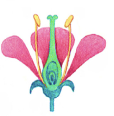 0201mdh3-cc52-234x238.png