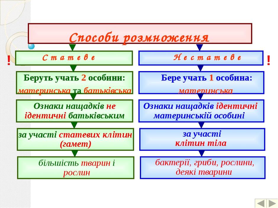 Розмноження рослин: статеве та нестатеве. Вегетативне розмноження.