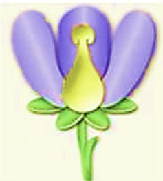 0201meyq-acf9-237x263.png