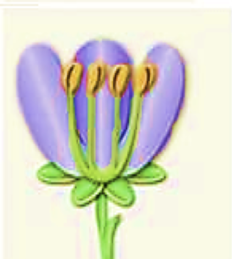 0201mfhg-d50b-232x259.png