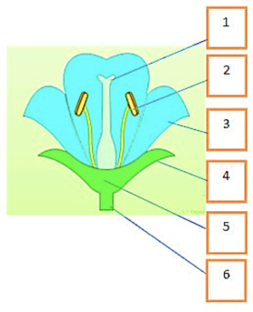 0201mfng-e735-278x343.png