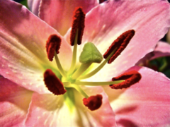 0201mfq0-6c18-240x180.png
