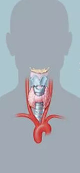 0201mfrp-7925-159x344.png