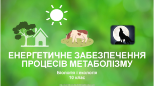 Презентація "Енергетичне забезпечення процесів метаболізму"