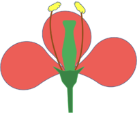 0201mg8b-f1ec-201x165.png