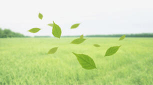 Як спілкуватися з людиною з інвалідністю