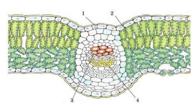 0201mkbe-1520-677x373.png