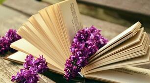 Василь Голобородько. «З дитинства: дощ» («Я уплетений...»), «Наша мова», «Теплі слова»