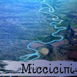 0201mljy-800c-293x293.png