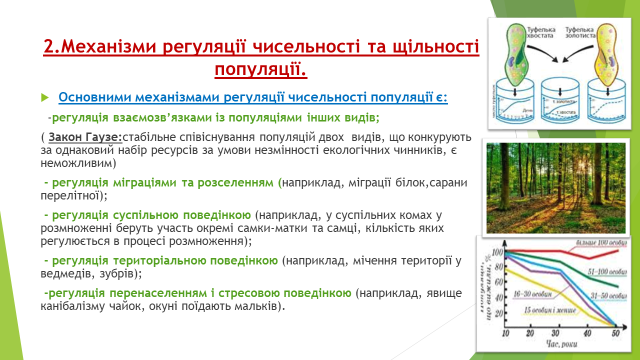 0201mlql-e016-640x360.png