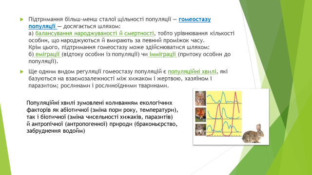 0201mlr7-11a8-640x360.png