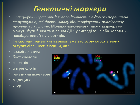 0201mm2h-3ab2-480x360.png