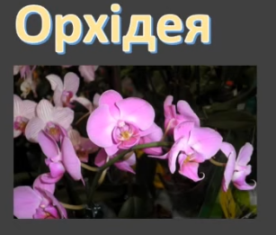 0201mn7n-36bb-307x261.png