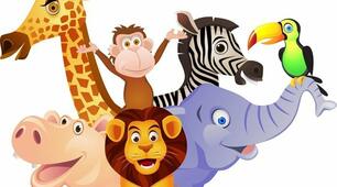 Animals